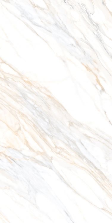 Aurum Calacatta Polished 24 x 48